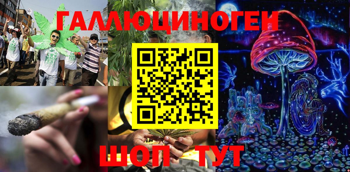 Псилоцибиновые грибы мицелий Новомосковск