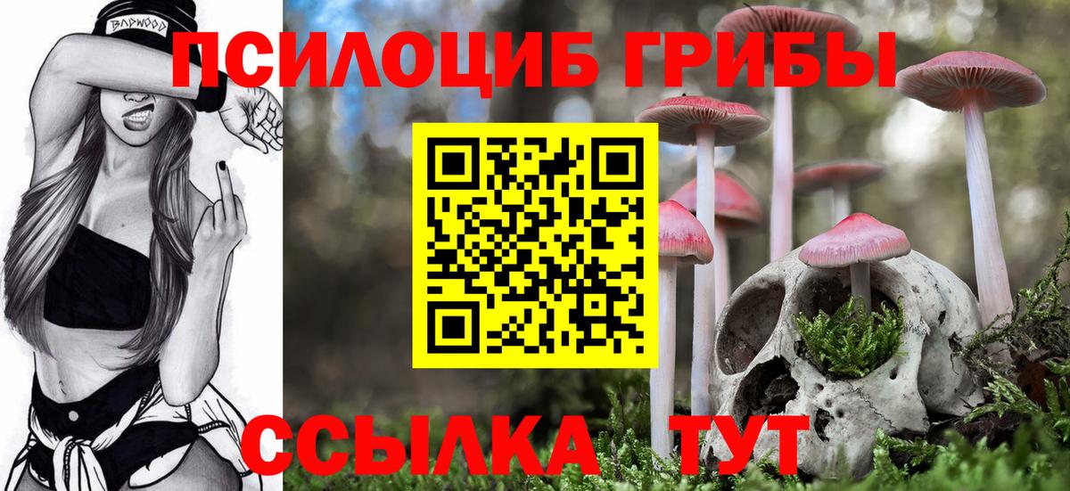 Галлюциногенные грибы мицелий  Вход с VPN  Новомосковск 